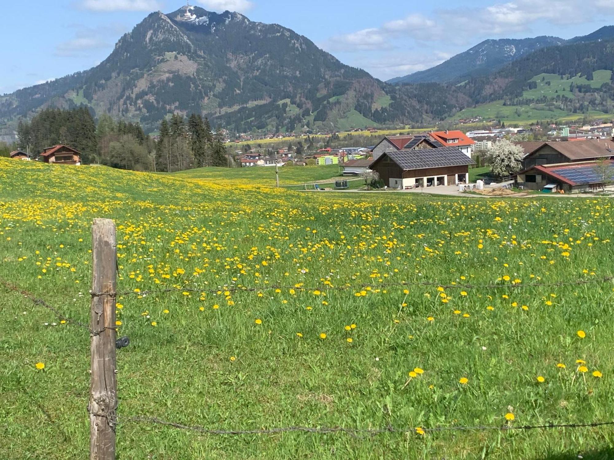 Ferienwohnungen Probst Офтершванг Экстерьер фото